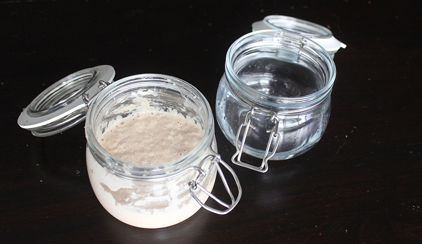 Sourdough starter and 100g water