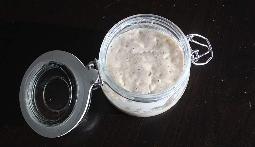 Homemade Sourdough Starter