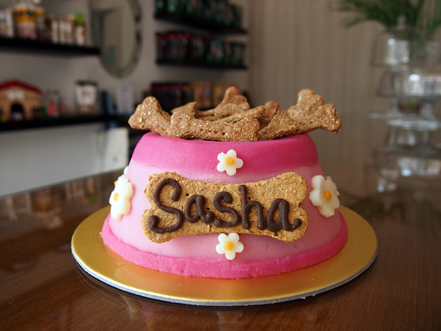 A special birthday cake for a lucky dog.
