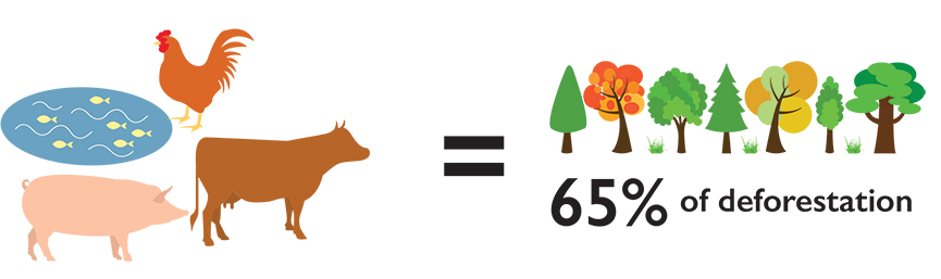 Deforestatio_865