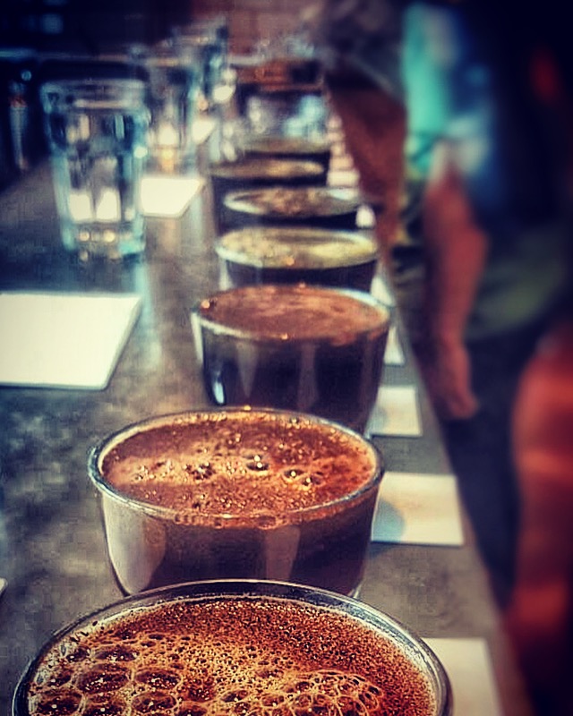 Perk Coffee tasting