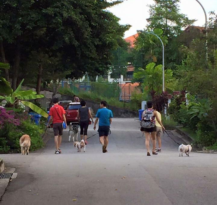 Alumni of Cheerful Dogs