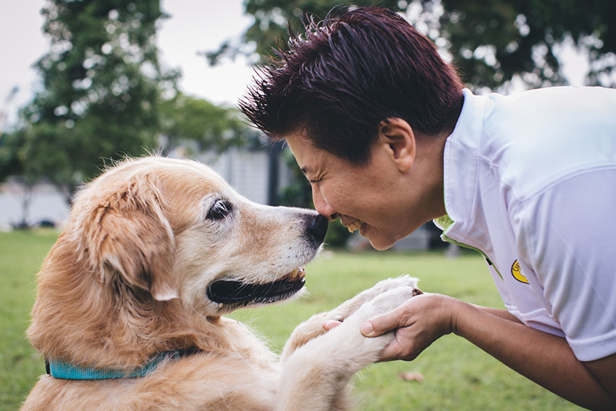 Cheerful Dogs