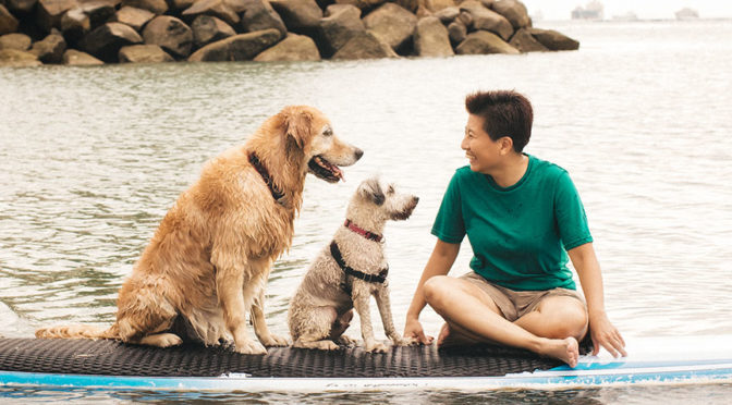Cheerful Dogs Nee on Sentosa