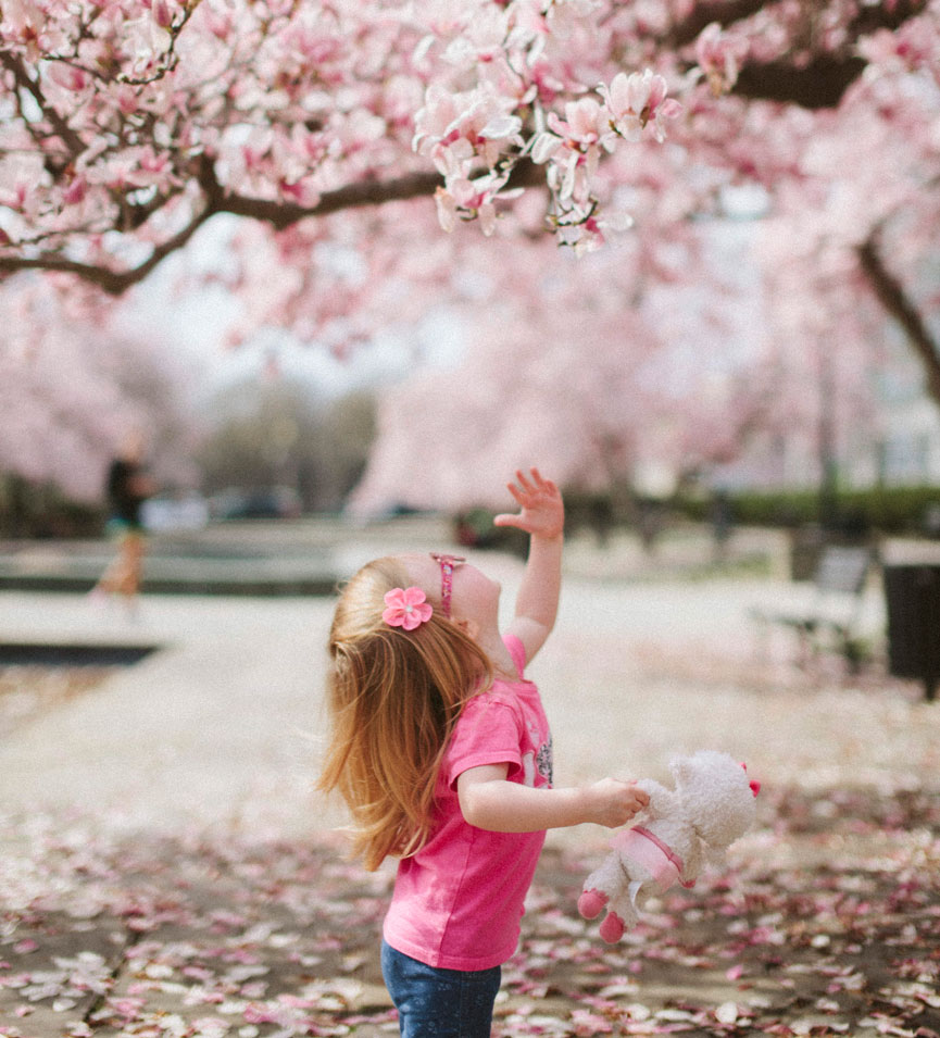 Image by Karl Fredrickson from unsplash.com