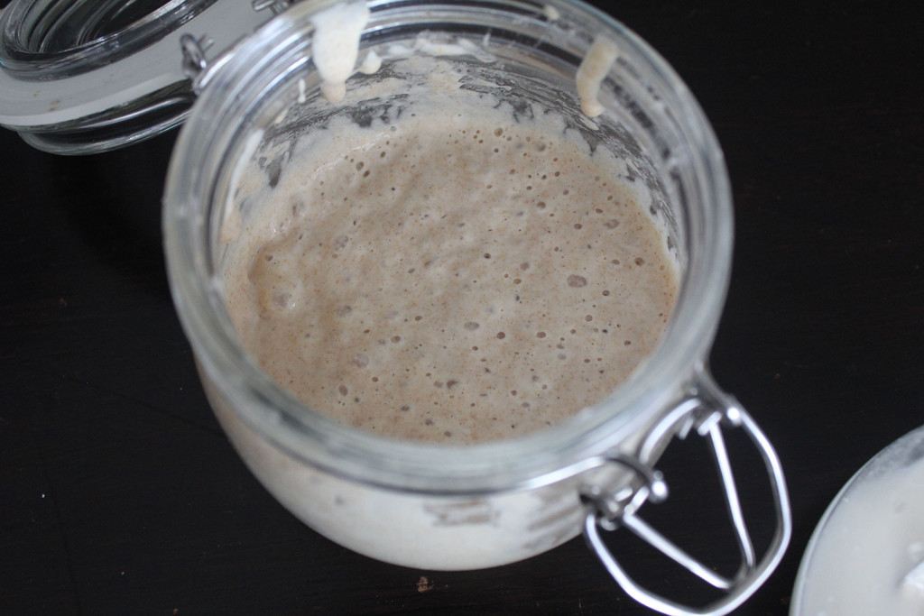 Homemade Sourdough Starter