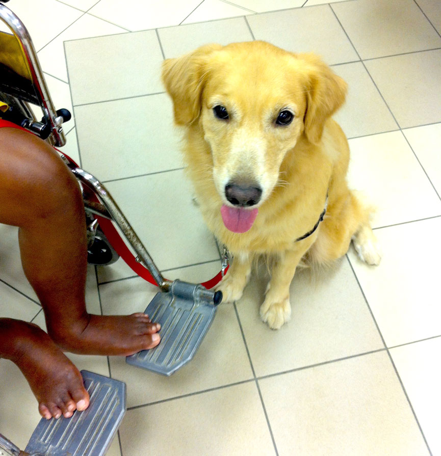 Pinot keeping a patient company