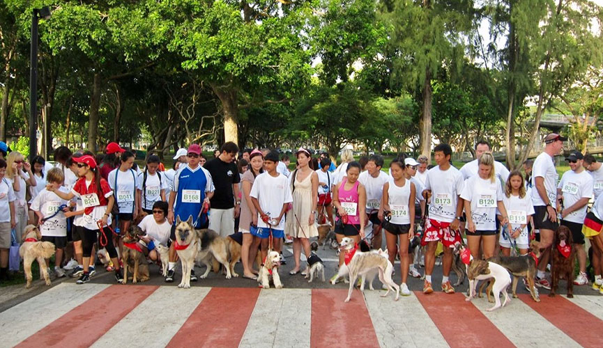 The starting line of the ASD Buddy Race