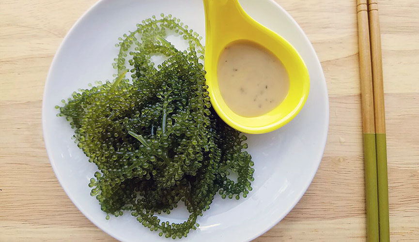 Meal Belly Green Caviar with Dipping Sauce