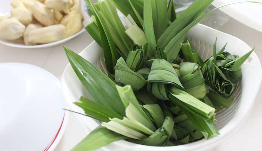 Pandan leaves for chicken rice