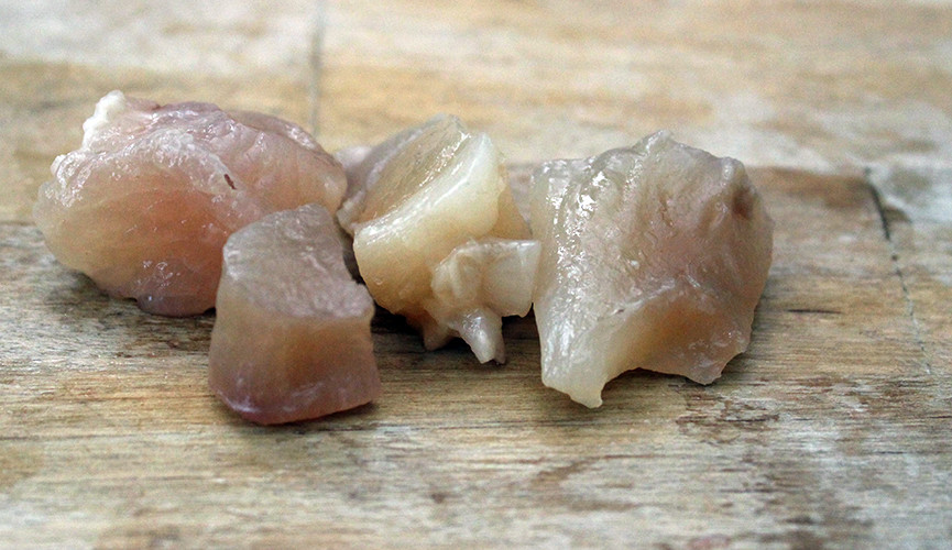 Pho-Tendons