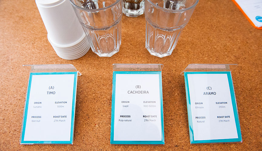 Perk Coffee Cupping