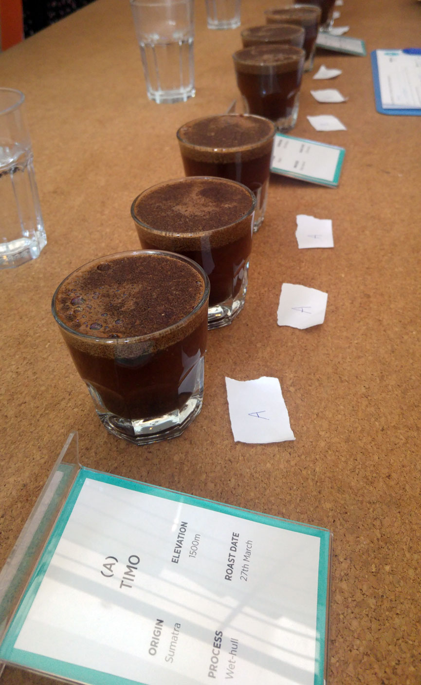 Perk Coffee Cupping