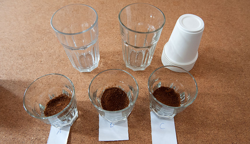 Perk Coffee Cupping