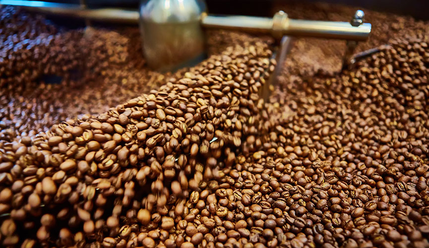 Perk Coffee Cupping