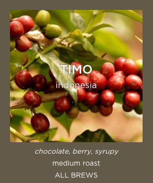 Perk Coffee - Timo