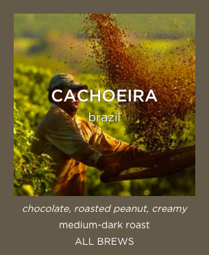 Perk Coffee - Cachoeira