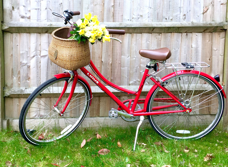 Deepest Darkest Suburbia Red City Bike