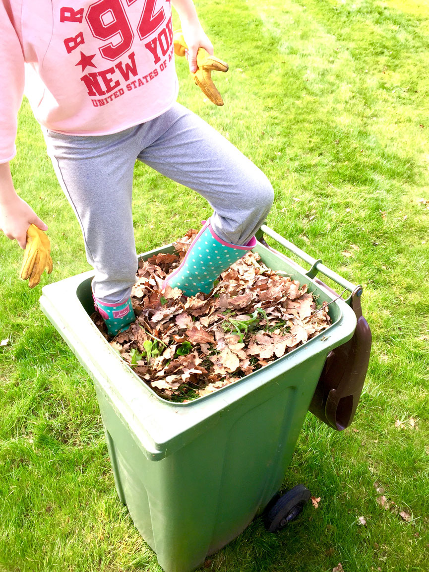 Gardening in Deepest Darkest Suburbia