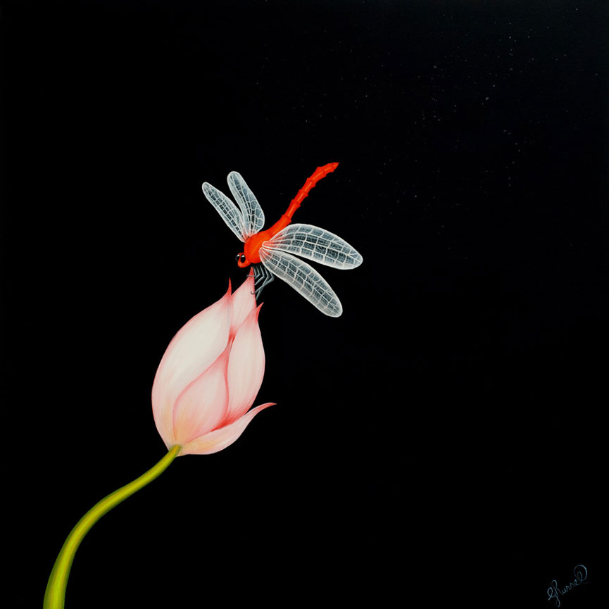 Red Brush Art Dragonfly
