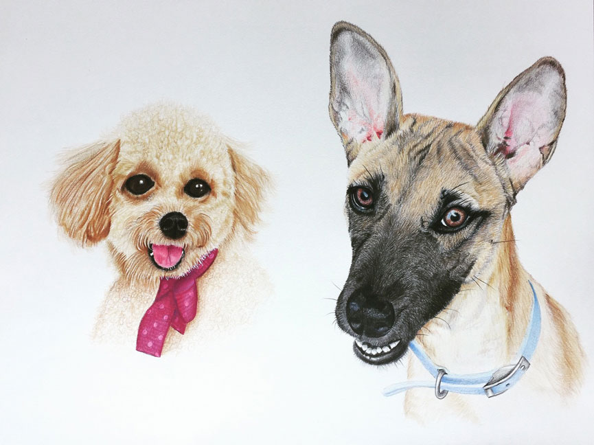 Red Brush Art Pets