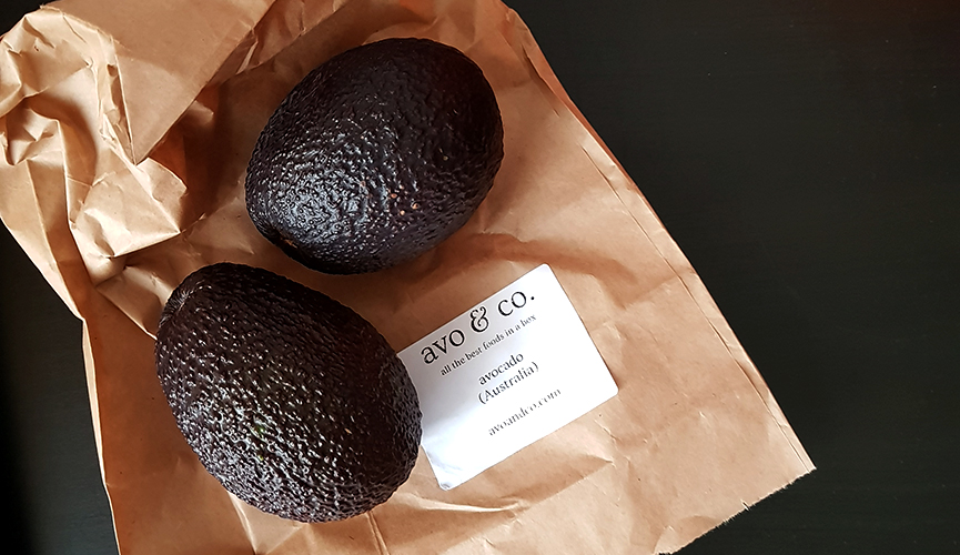 Avo and Co Avocados