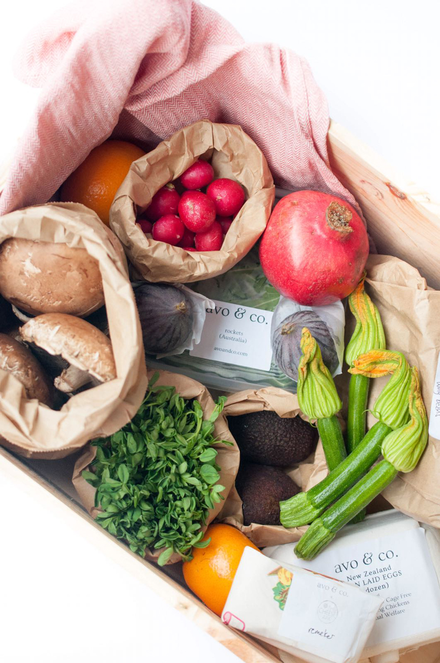 Avo and Co Petit Box