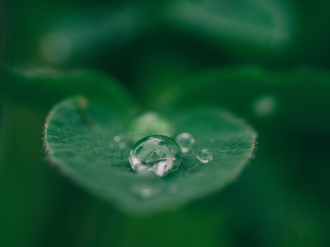 World Water Day 2018