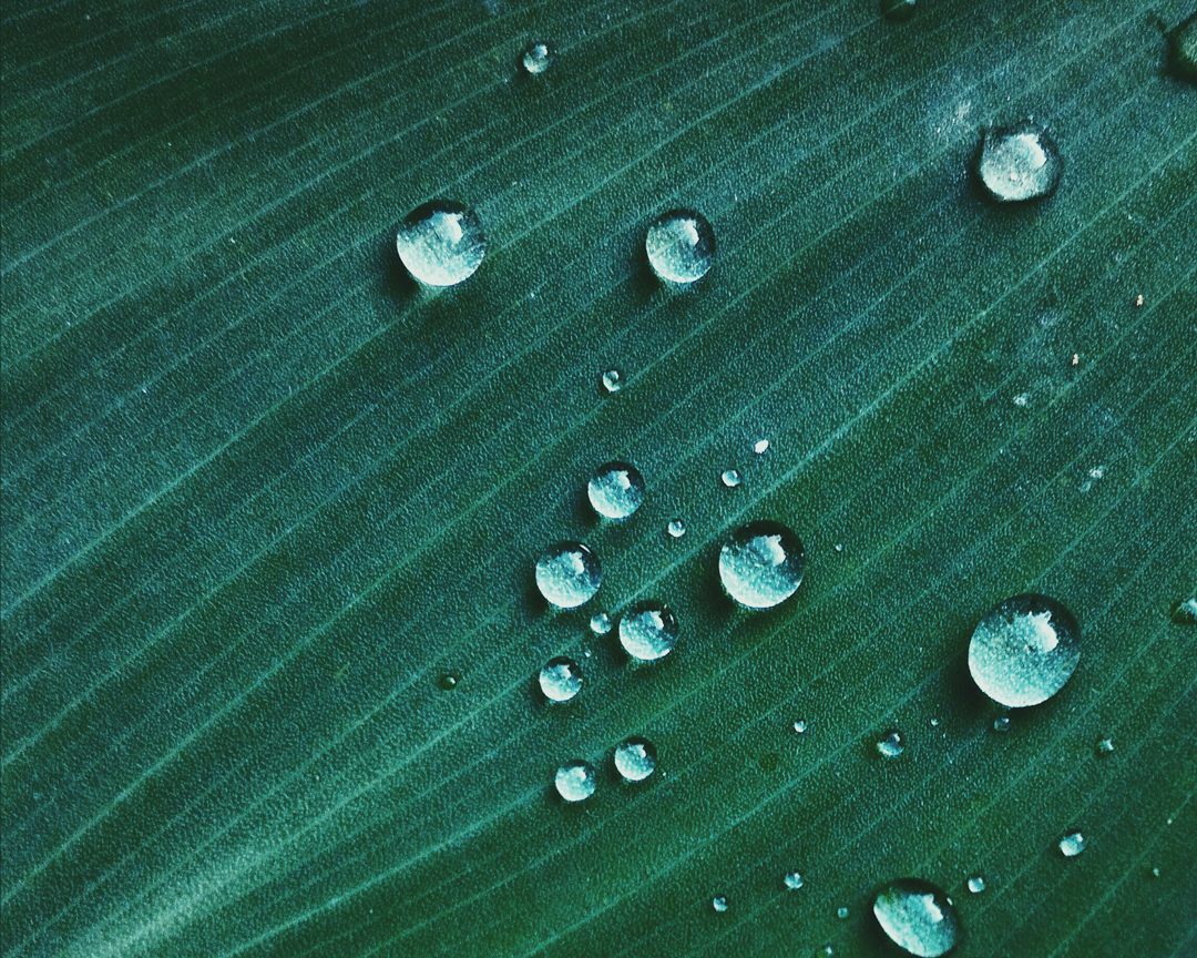World Water Day 2018