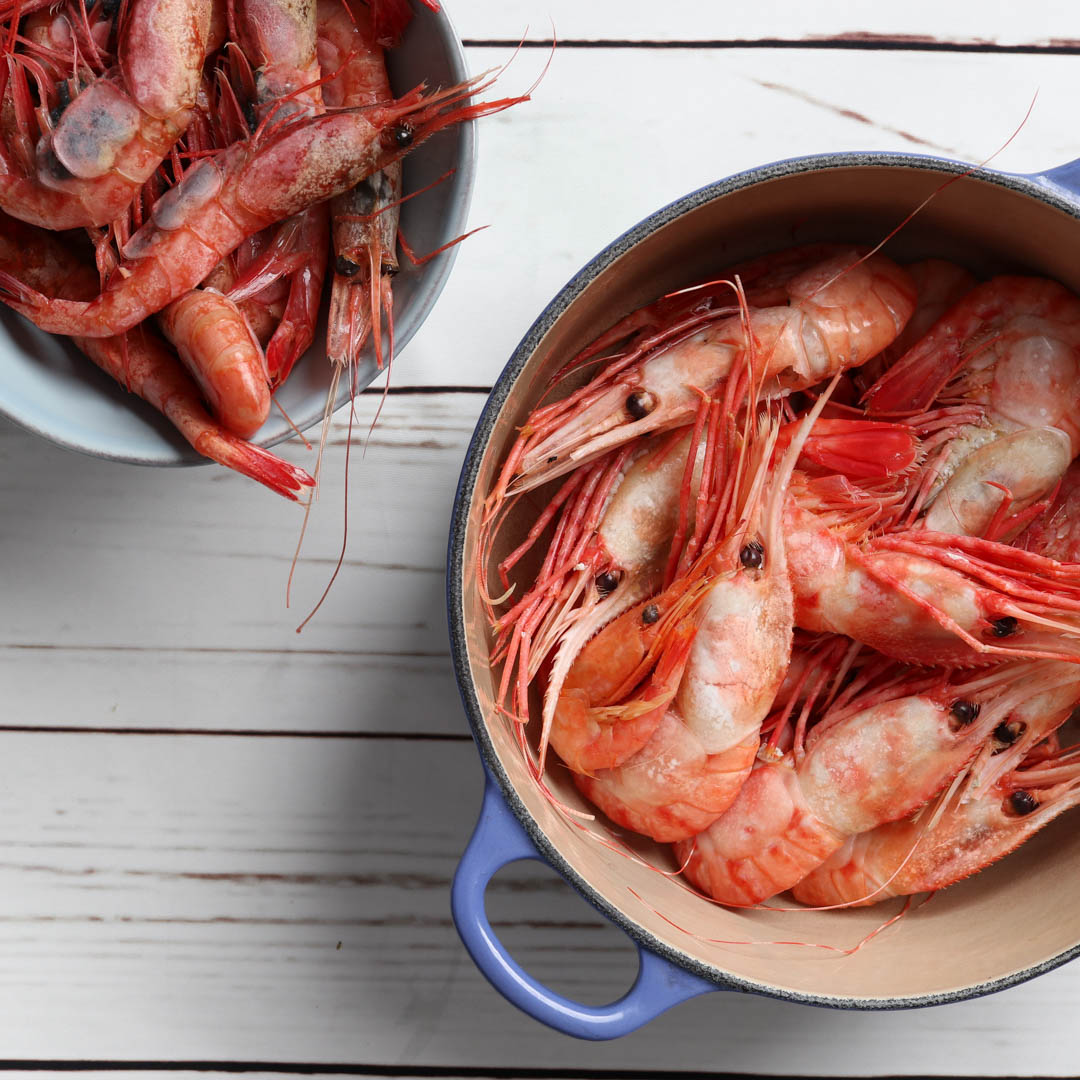 Arctic Cold Water Shrimp
