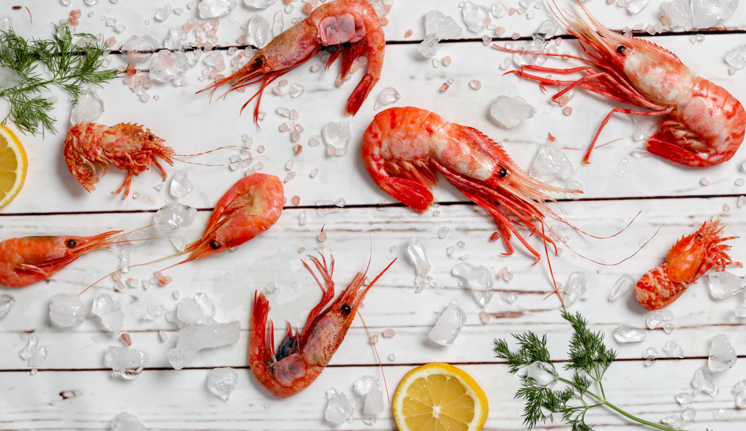 Arctic Cold Water Shrimp